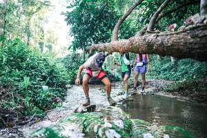 BIB: 
                            <button type="button" onclick="openModal(25432945)" class="btn btn-primary btn-sm float-right btn-popup" data-toggle="modal" data-target=".modal-high-quality">
                        <i class="fas fa-shopping-cart"></i> Add to Cart
                    </button>
                                            <button type="button" onclick="isThisMe(25432945, true)" class="btn btn-success btn-sm float-right btn-popup btn-isme hidden" data-toggle="tooltip" data-placement="bottom" title="นี่คือรูปของคุณใช่ไหม คลิกที่นี่เพื่อเอาเข้าอัลบั้ม">
                        <i class="fas fa-plus"></i> Add to album
                    </button>
                    <button type="button" onclick="isThisMe(25432945, false)" class="btn btn-warning btn-sm float-right btn-popup btn-isnotme hidden">
                        <i class="fas fa-ban"></i> Remove from album
                    </button>